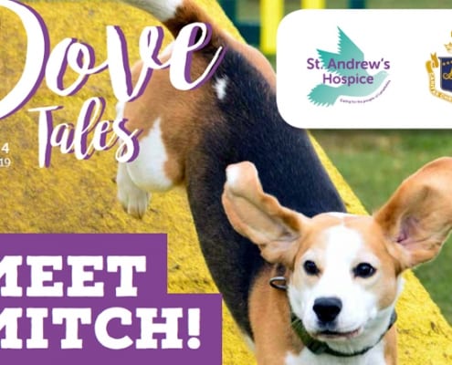 Dove Tales - Spring 2019