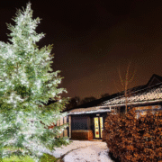 Light Up a Life Service: 6 December 2026